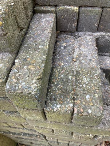 Blauw-grijze waaltjes, tuinbestrating