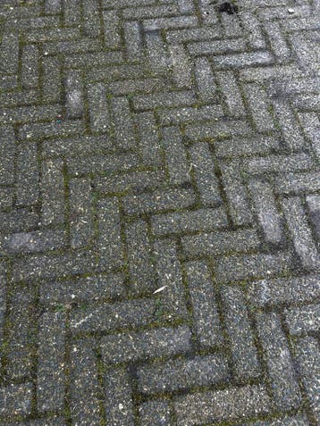 Gratis af te halen +-38m2 waaltjes.