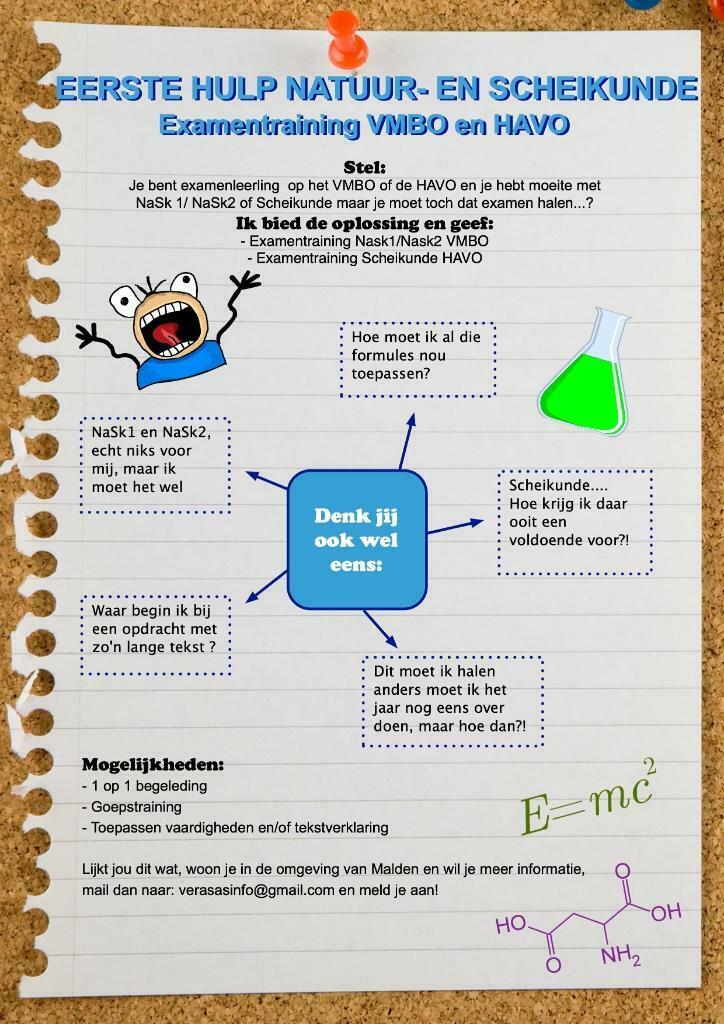 Examentraining en bijles scheikunde/NaSk1 en NaSk2, Privéles, Bijles