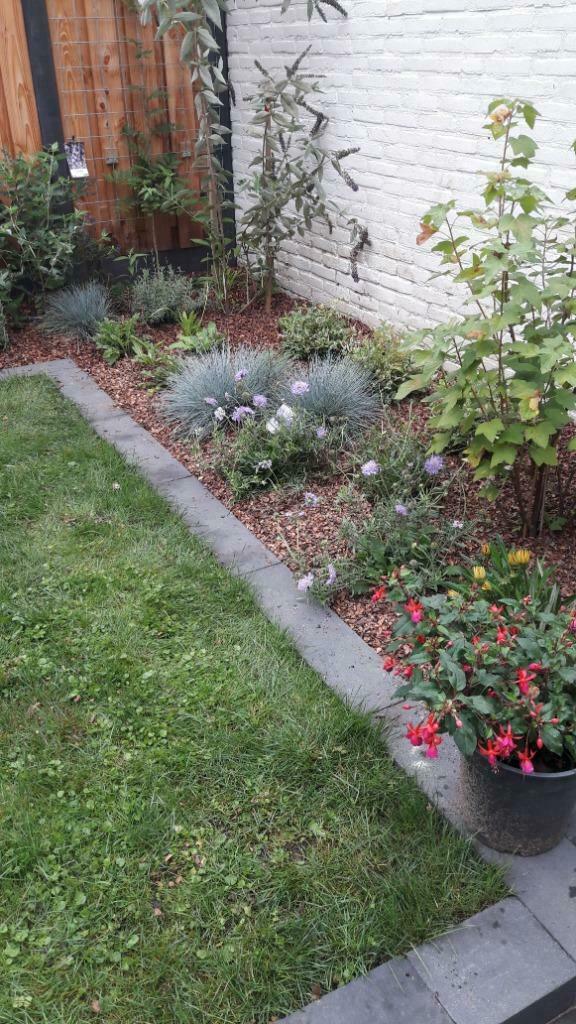 Tuinman Klusser gezocht aangeboden, Tuinonderhoud of Snoeiwerk