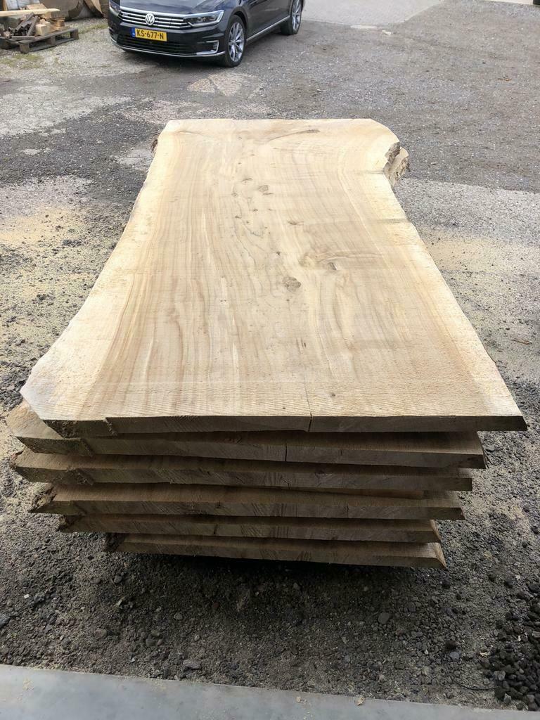 Grote boomstambladen! Mega boomstamtafel, Overige typen, Nieuw, Ophalen of Verzenden, Overige houtsoorten