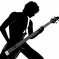 Basgitaarles Basles Den Haag (prive) Roy Habieb., Komt aan huis, Snaarinstrumenten