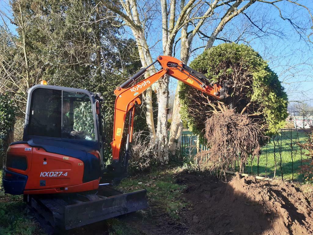 Minigraver met machinist te huur, Tuinonderhoud of Snoeiwerk