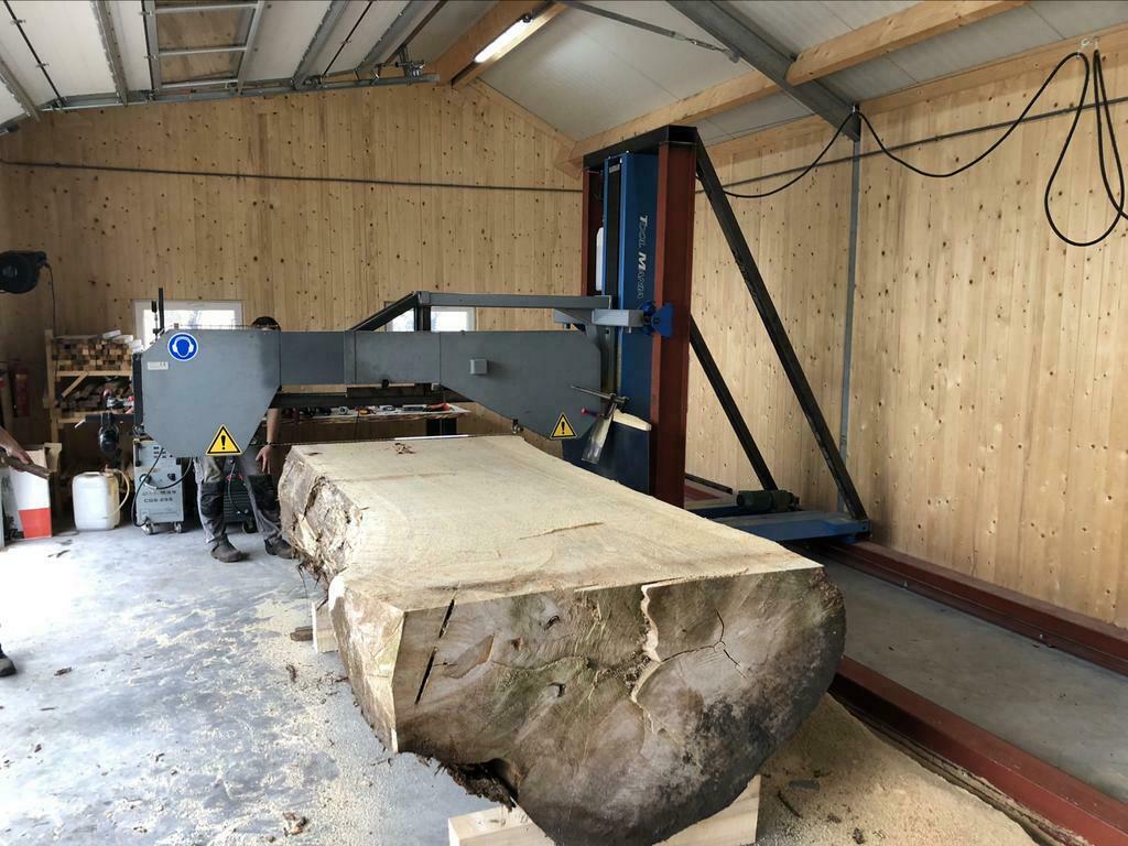 Grote boomstambladen! Mega boomstamtafel