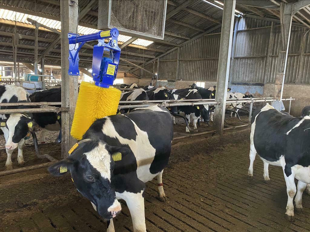 Volautomatische Koeborstel Thuis Geleverd, Ophalen of Verzenden