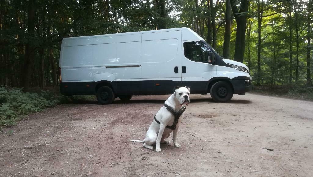 VB Transport Varsseveld, Koeriersdiensten
