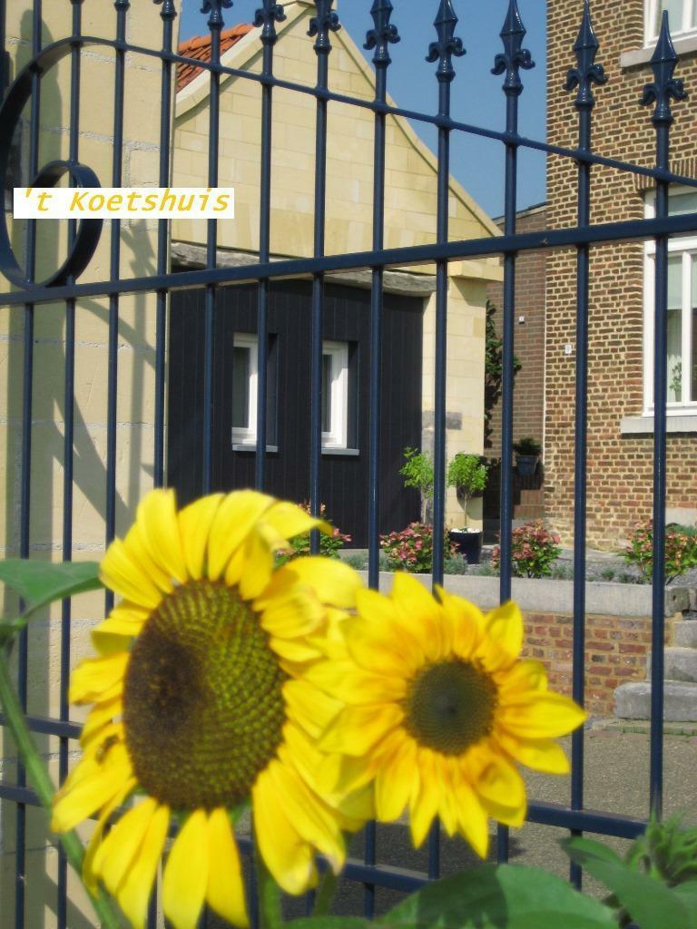 Last min. Z.Limburg Koetshuis 10 t/m 17 apr.  25% Korting, 5 personen, 2 slaapkamers, Limburg, In bergen of heuvels