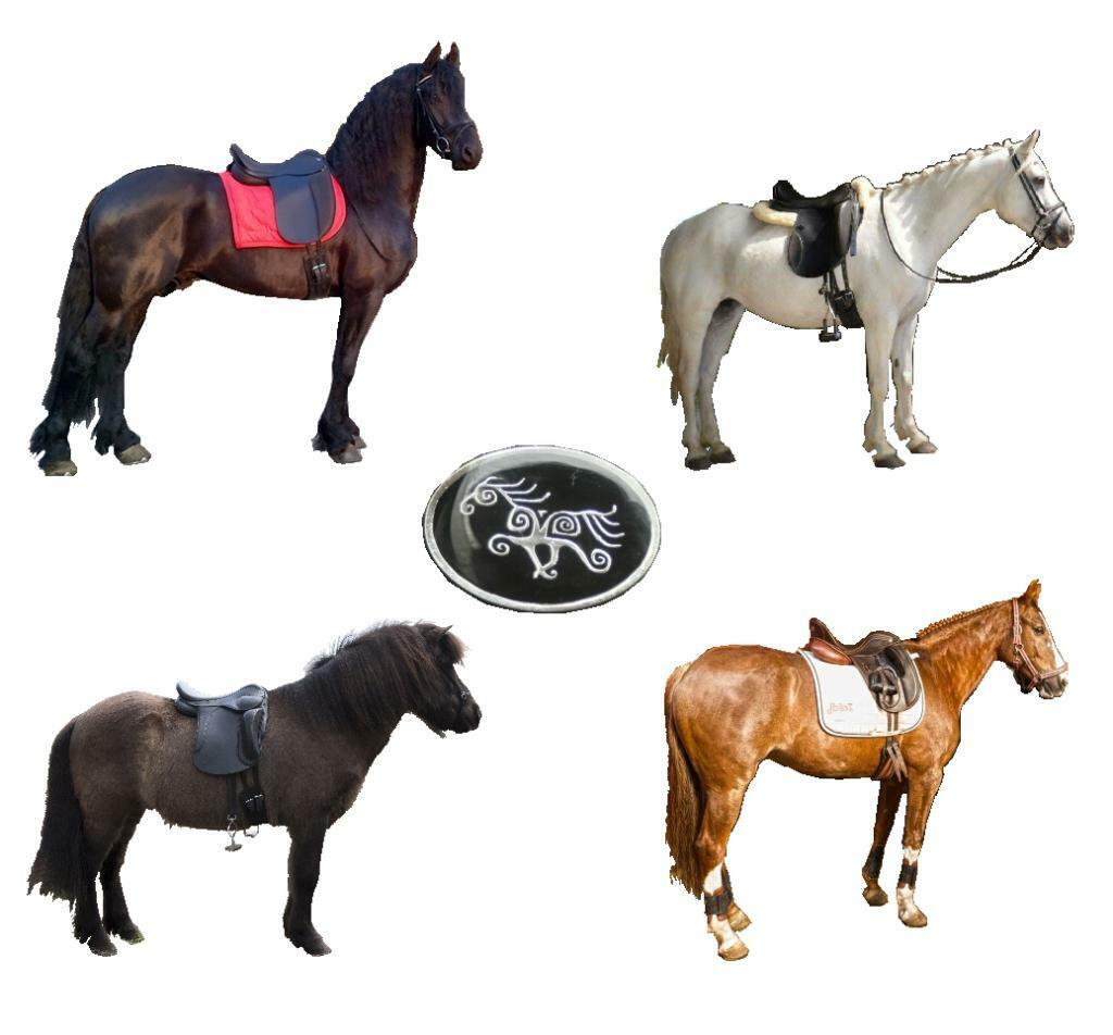 Westeind Zadelmakerij korte  ronde barokke paarden,  Zaldi, Ophalen of Verzenden, Nieuw, Overige soorten