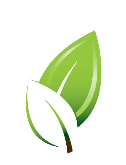 Gss-sappemeer, Diensten en Vakmensen, Tuinmannen en Stratenmakers, Bestrating, Hekwerk of Schuttingen, Tuin- of Vijveraanleg, Tuinonderhoud of Snoeiwerk