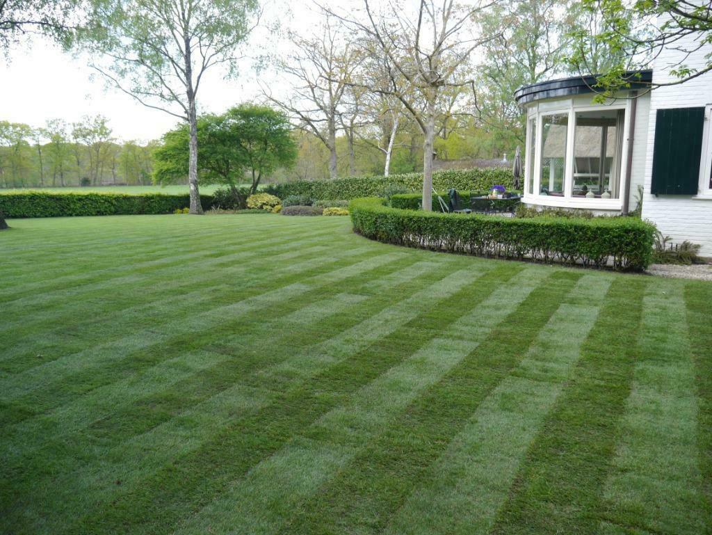 Graszoden gazon aanleg gras, Tuin en Terras, Gras en Kunstgras, Ophalen of Verzenden, Nieuw, 20 m² of meer, Gras