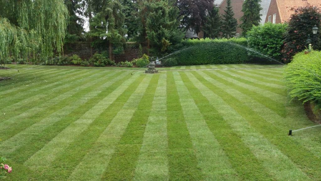 Graszoden gazon aanleg gras, Tuin en Terras, Gras en Kunstgras, Ophalen of Verzenden, Nieuw, 20 m² of meer, Gras