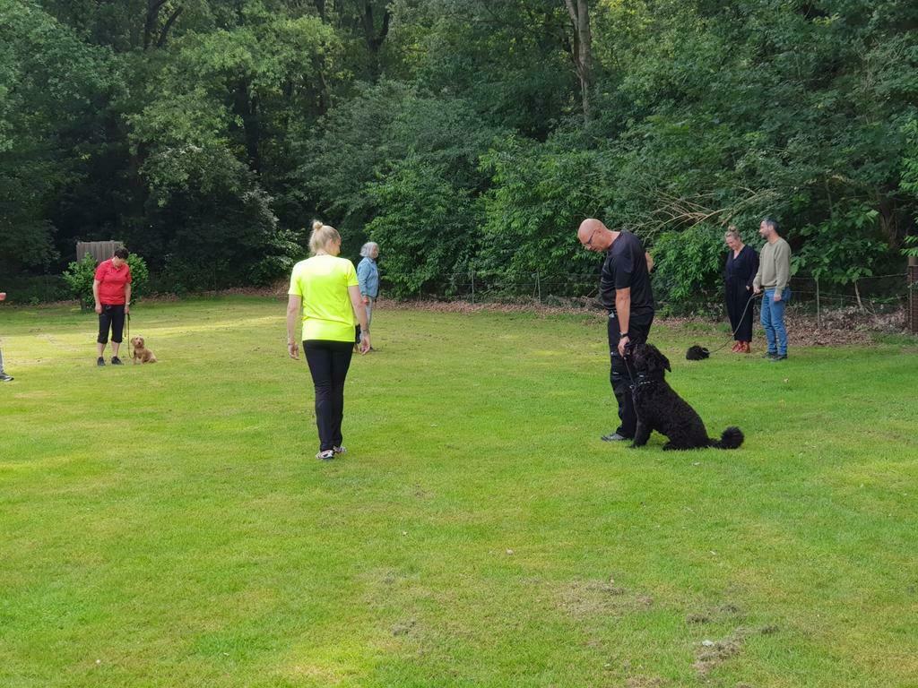 Puppy/Basis en Agility training Oss, Training of Cursus