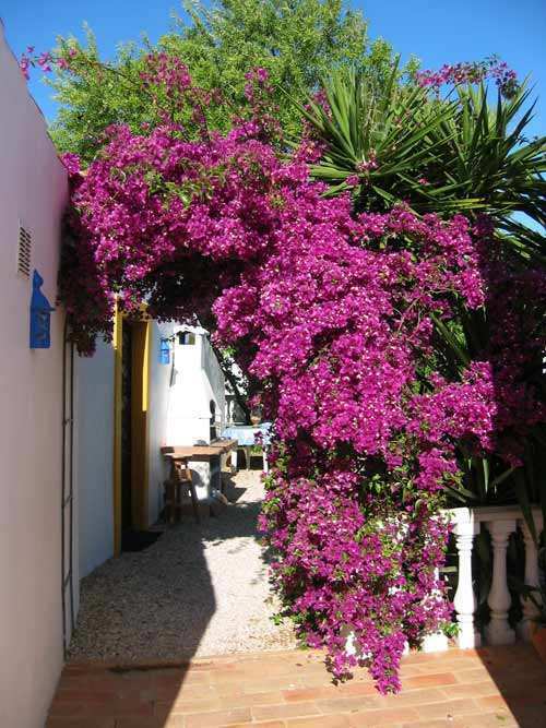 Casa Kamari. Goedkope vakantiehuizen in de Algarve, Vakantie, 4 of meer slaapkamers, In bergen of heuvels, Algarve, 14 personen