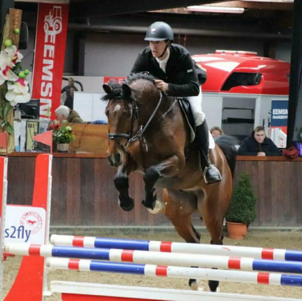 Zadelmak maken / training / concours / instructie, Gedragstraining