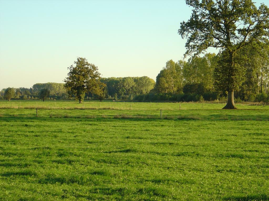 2 tot 12 persoons vakantiewoningen, 12 personen, 4 of meer slaapkamers, Landelijk, Gelderland en Veluwe