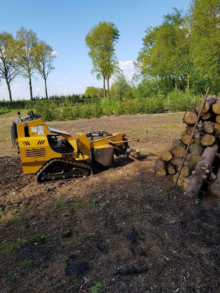 STOBBEN FREZEN EN TAKKEN SNIPPEREN., Diensten en Vakmensen, Tuinmannen en Stratenmakers, Garantie, Tuinonderhoud of Snoeiwerk