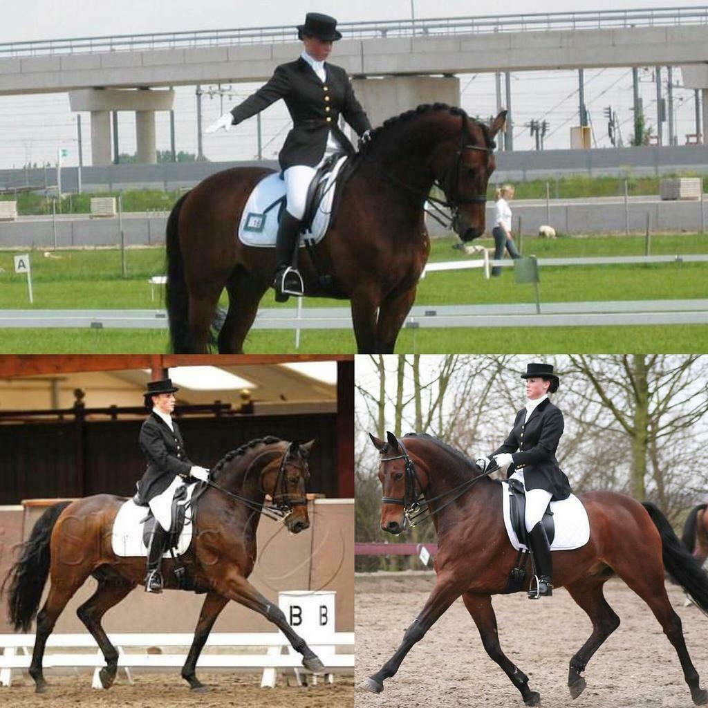 Dressuur instructie door Lichte Tour amazone aangeboden!, Paardrijles of Ponykampen