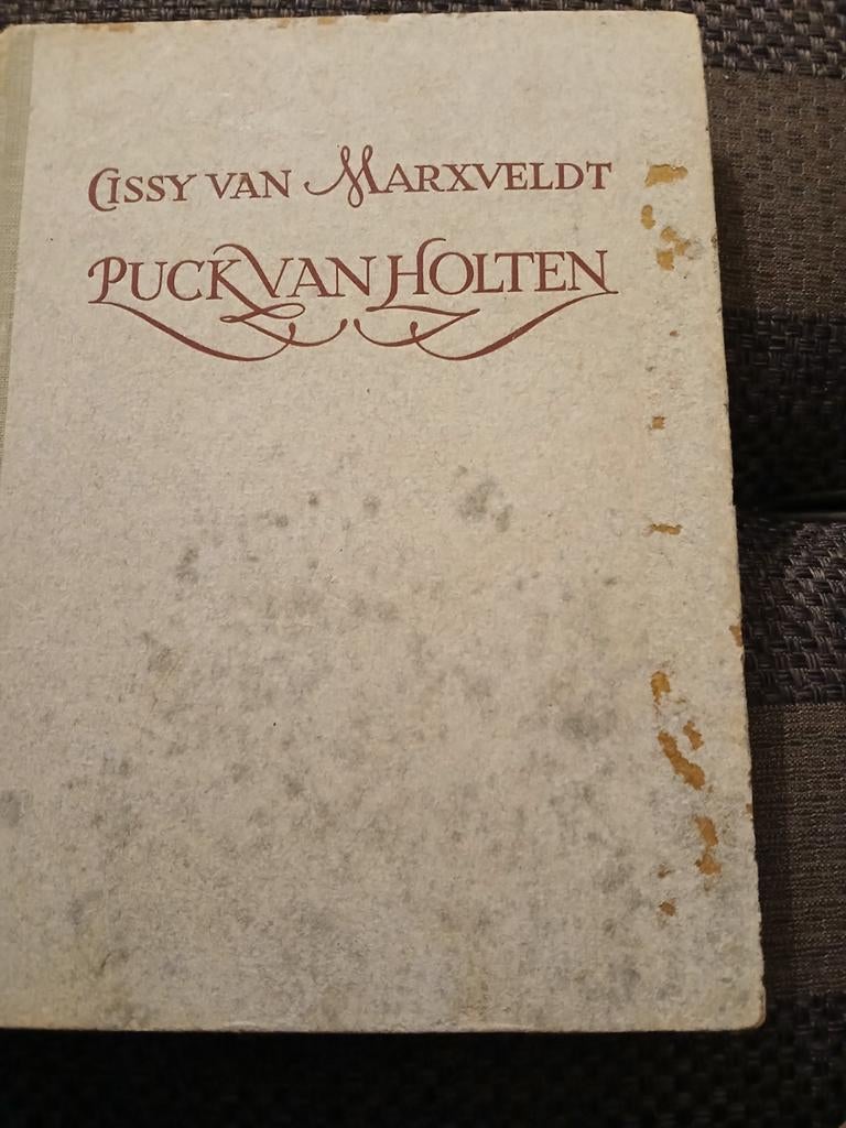Te koop: puck van Holten, Ophalen of Verzenden, Gelezen