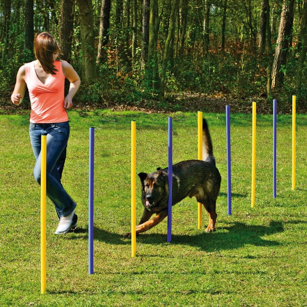 Agility Slalomset Palen 6 stuks Palen Training Hondensport, Dieren en Toebehoren, Honden-accessoires, Ophalen of Verzenden, Nieuw