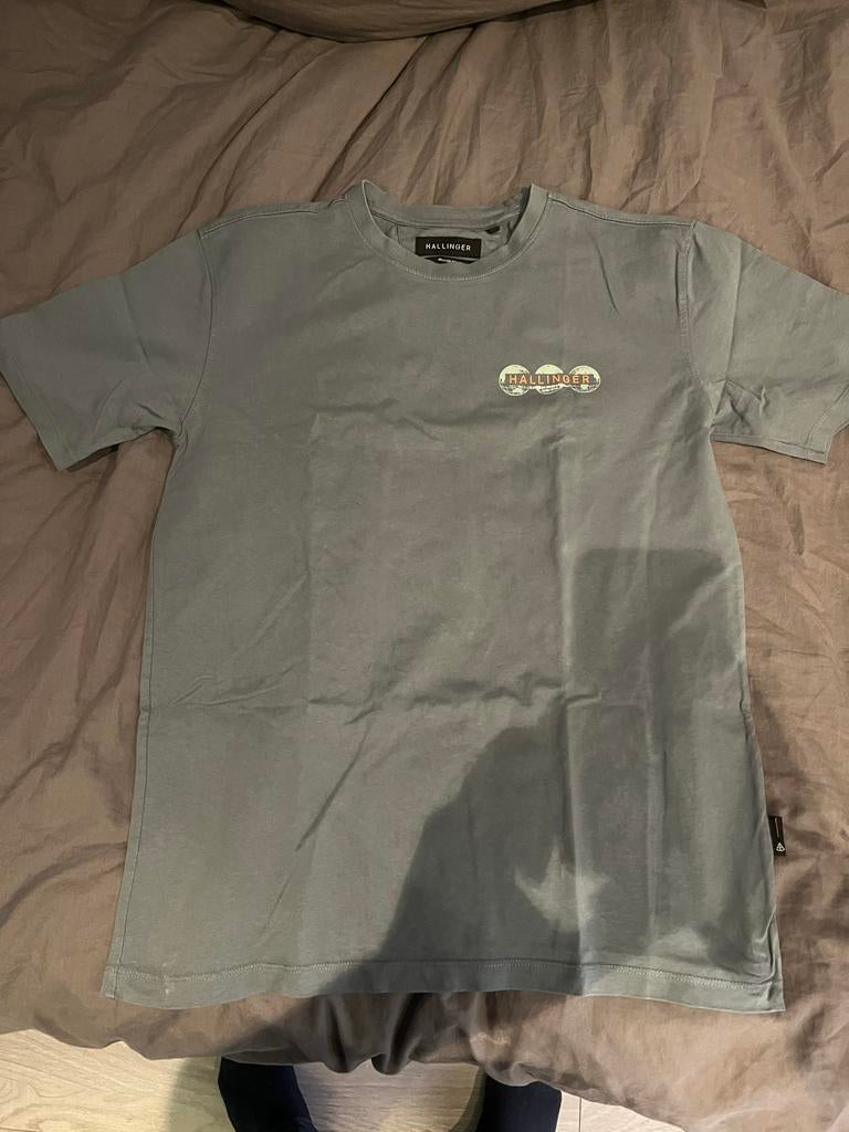 Hallinger T-shirt - Maat M - Sting, Kleding | Heren, T-shirts, Ophalen of Verzenden, Zo goed als nieuw, Maat 48/50 (M), Grijs