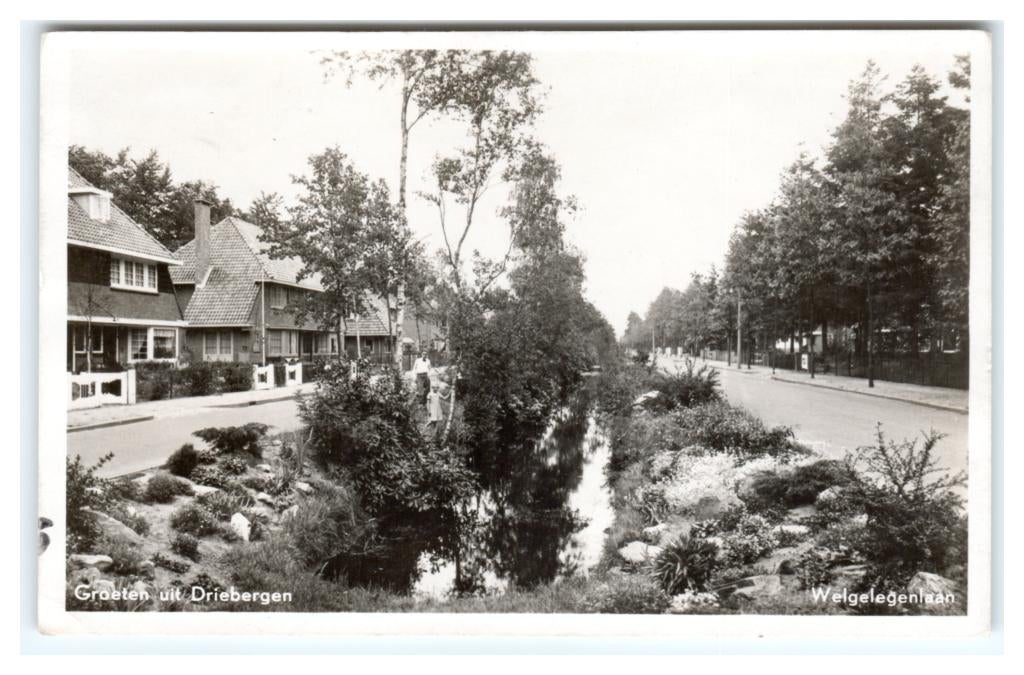 Driebergen, Welgelegenlaan, Verzenden, 1940 tot 1960, Gelopen, Utrecht