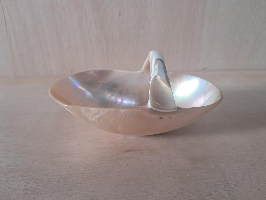 Nautilus Schelp Mandje - Exclusief, Huis en Inrichting, Woonaccessoires | Schalen en Manden, Gebruikt, Mand, Ovaal, Overige materialen