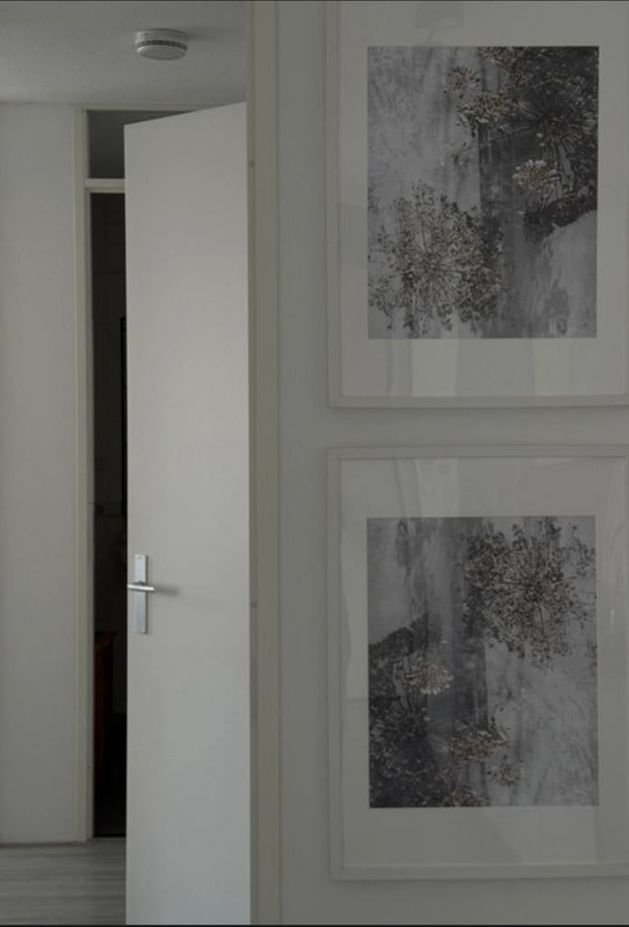 Twee schilderijen, 80x80 cm. Witte raam, Ophalen of Verzenden