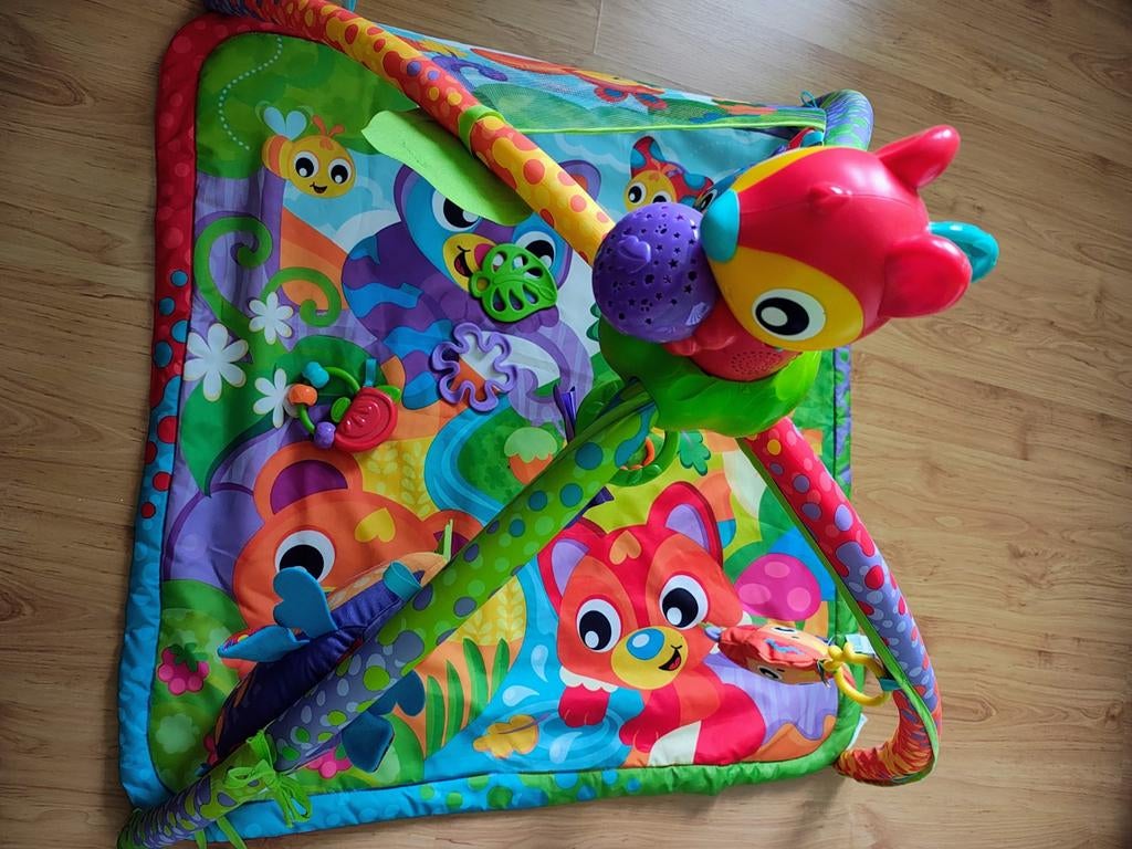 Playgro Speelkleed met Licht & Geluid, Ophalen, Zo goed als nieuw