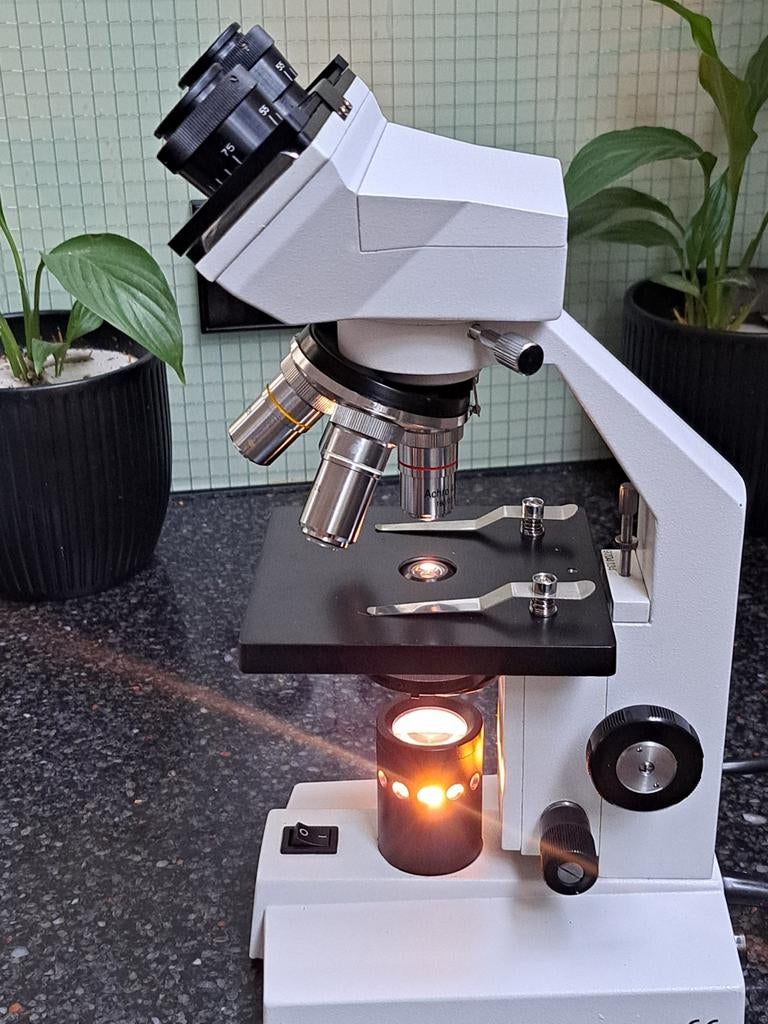 Loupe Binoculaire ou stéréomicroscope ? Comparatif 2024, Avis et