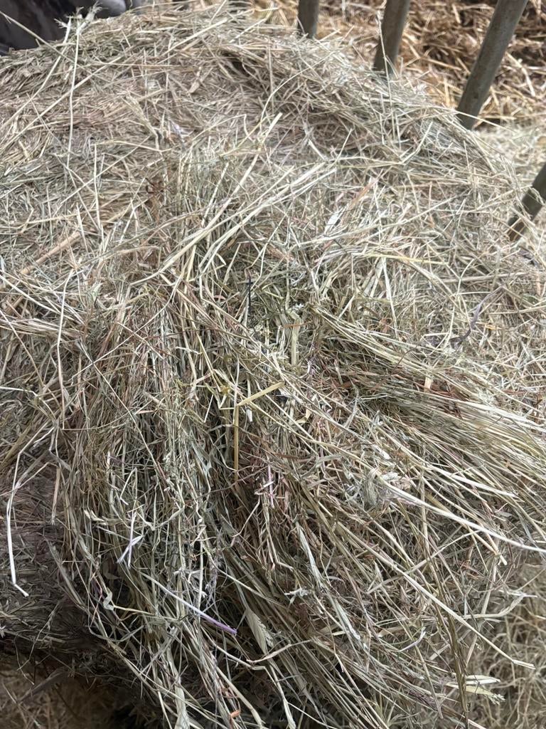 Midi balen paarden voer, Dieren en Toebehoren, Dierenvoeding, Ophalen of Verzenden, Vee