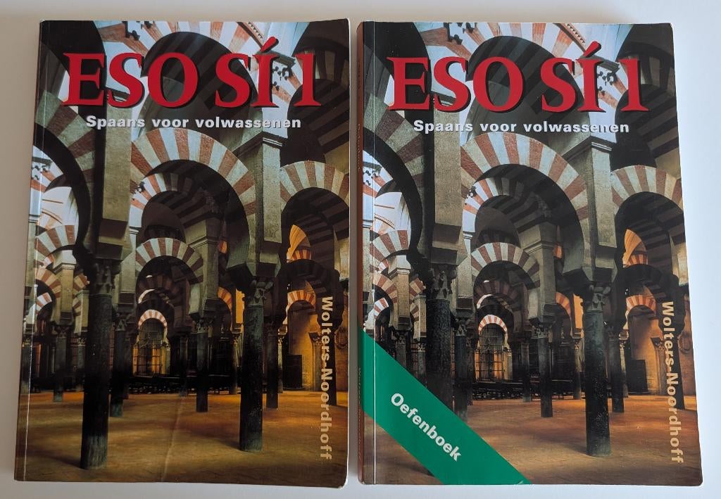 Eso Si 1 - Spaans voor Volwassenen, Tekst- en Oefenboek, Zo goed als nieuw, Wolters Noordhoff, Alpha, HBO