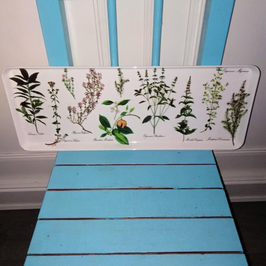 Langwerpig dienblad Botania kruiden Mebel Made in Italy, Ophalen, Gebruikt, Rechthoekig, Kunststof