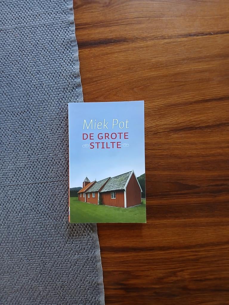 Miek Pot - De grote stilte, Boeken, Spiritualiteit algemeen, Ophalen of Verzenden, Miek Pot, Overige typen