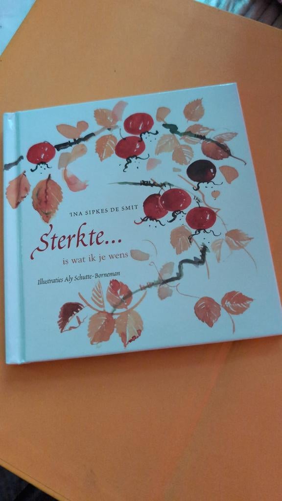 Sterkte... is wat ik je wens - Ina Sipkes de Smit, Ophalen of Verzenden