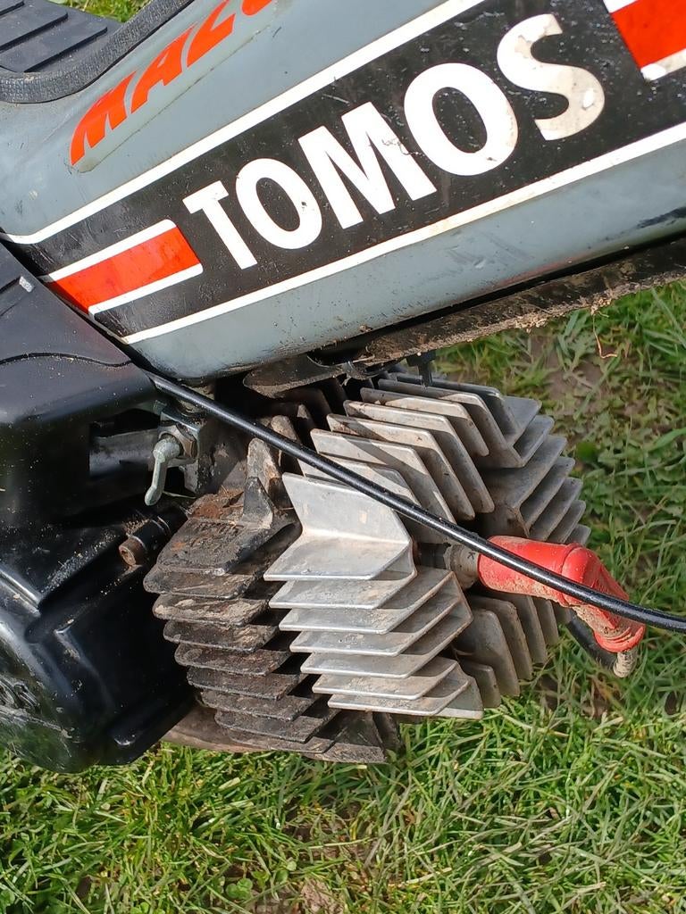 Tomos bromfiets - Gebruikt, Ophalen, Zo goed als nieuw, Standard