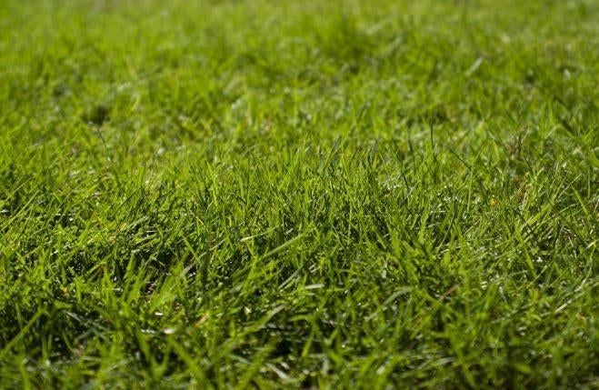 TE HUUR klein weilandje grasland  omg. Zevenaar, Ophalen, Zo goed als nieuw, 50 cm of meer