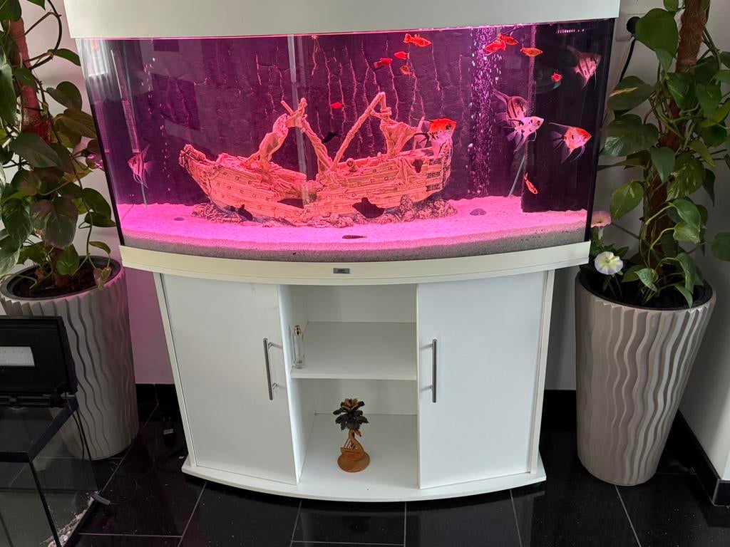 Juwel vision 260, Ophalen of Verzenden, Zo goed als nieuw, Leeg aquarium