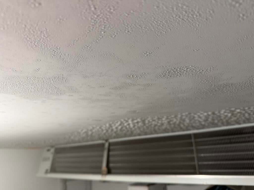 Te Koop Finnmark Vries Cel, Ophalen, Koelen en Vriezen