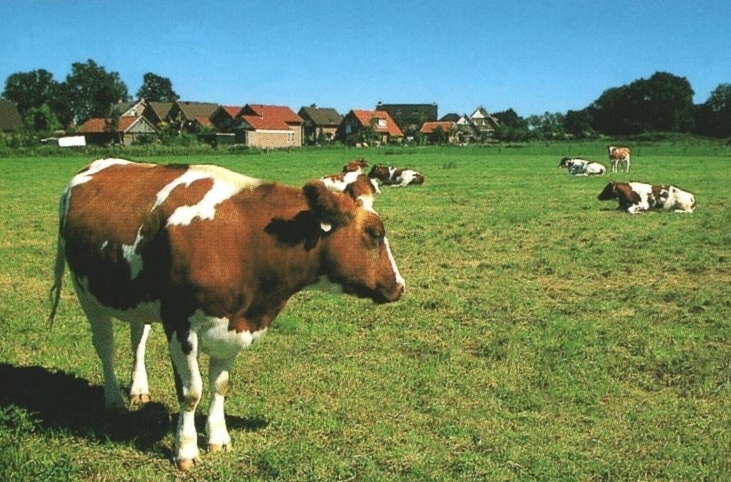 991495 De Lutte Ov 80+ _Gelopen met mooie zegel, Ophalen of Verzenden, 1980 tot heden, Gelopen, Overijssel