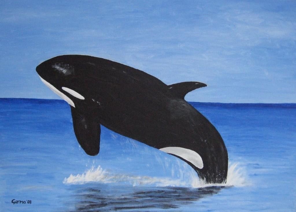 Orka, zelf geschilderd op doek met acryl, Ophalen