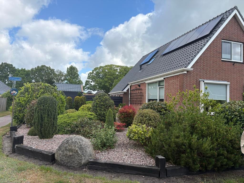 Diverse struiken en heesters, Tuin en Terras, Planten | Struiken en Hagen, Struik, Overige soorten, 100 tot 250 cm, Ophalen