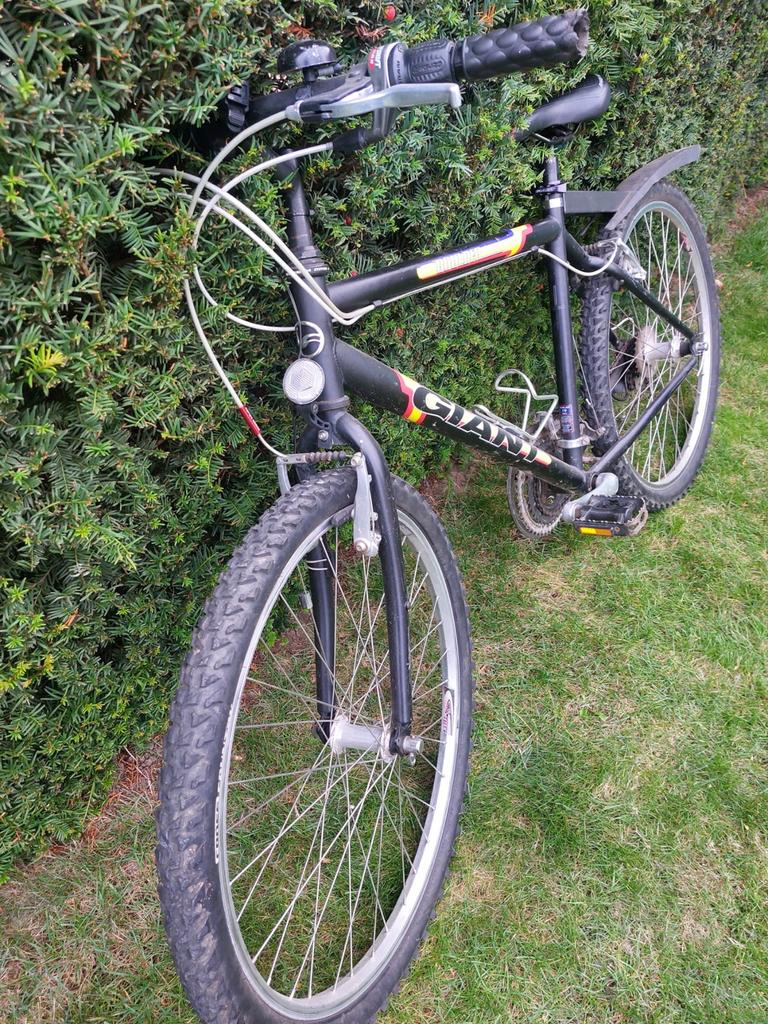 Giant mountainbike, Ophalen, Gebruikt, Heren, Giant