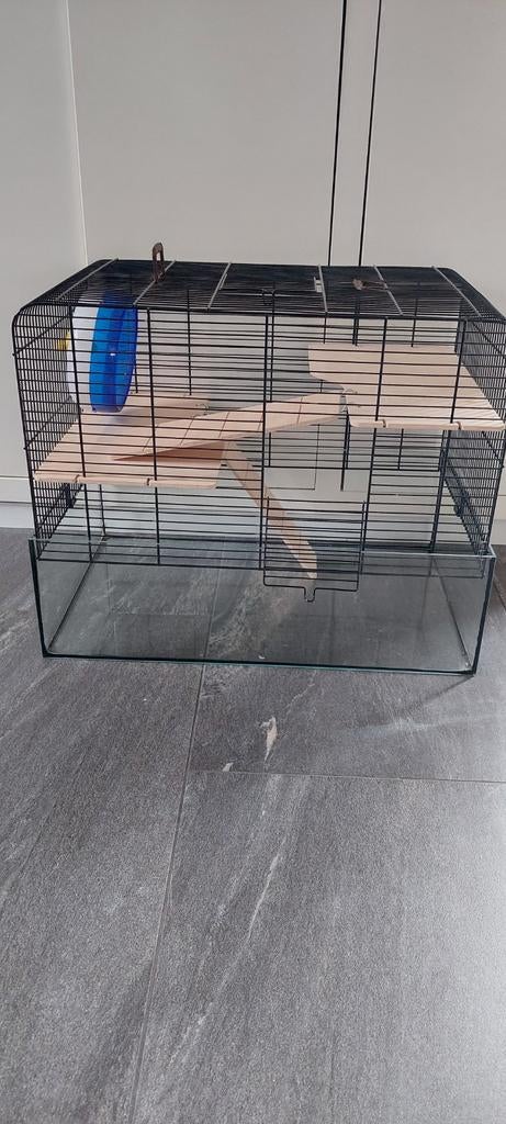 Hamsterkooi met  glazen onderbak, Ophalen, Minder dan 75 cm, Kooi, Minder dan 60 cm