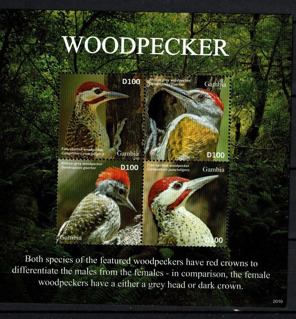 GAMBIA 2020 PF BLOK SPECHTEN WOODPECKERS VOGELS BIRDS, Ophalen of Verzenden, Postfris, Dier of Natuur