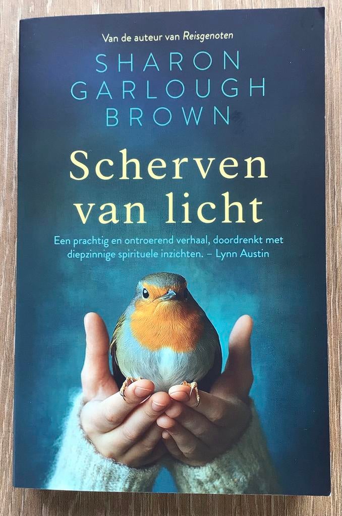 Sharon Garlough Brown – Scherven van licht ( 2025 ! ), Sharon Garlough Brown, Nieuw, Ophalen of Verzenden, Amerika