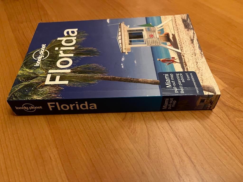 Lonely Planet Florida reisgids, Boeken, Reisgidsen, Gelezen, Lonely Planet, Ophalen of Verzenden, Reisgids of -boek