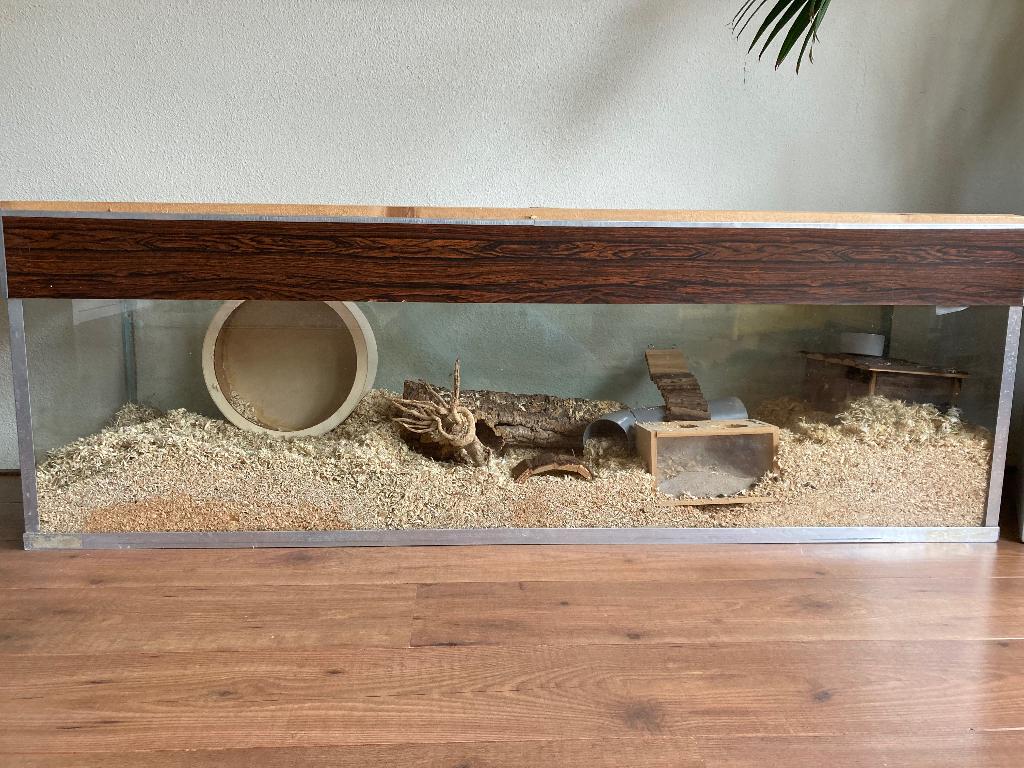 Groot hamsterhok met hamster accessoires, Dieren en Toebehoren, Hok, Muis, Ophalen, Minder dan 60 cm