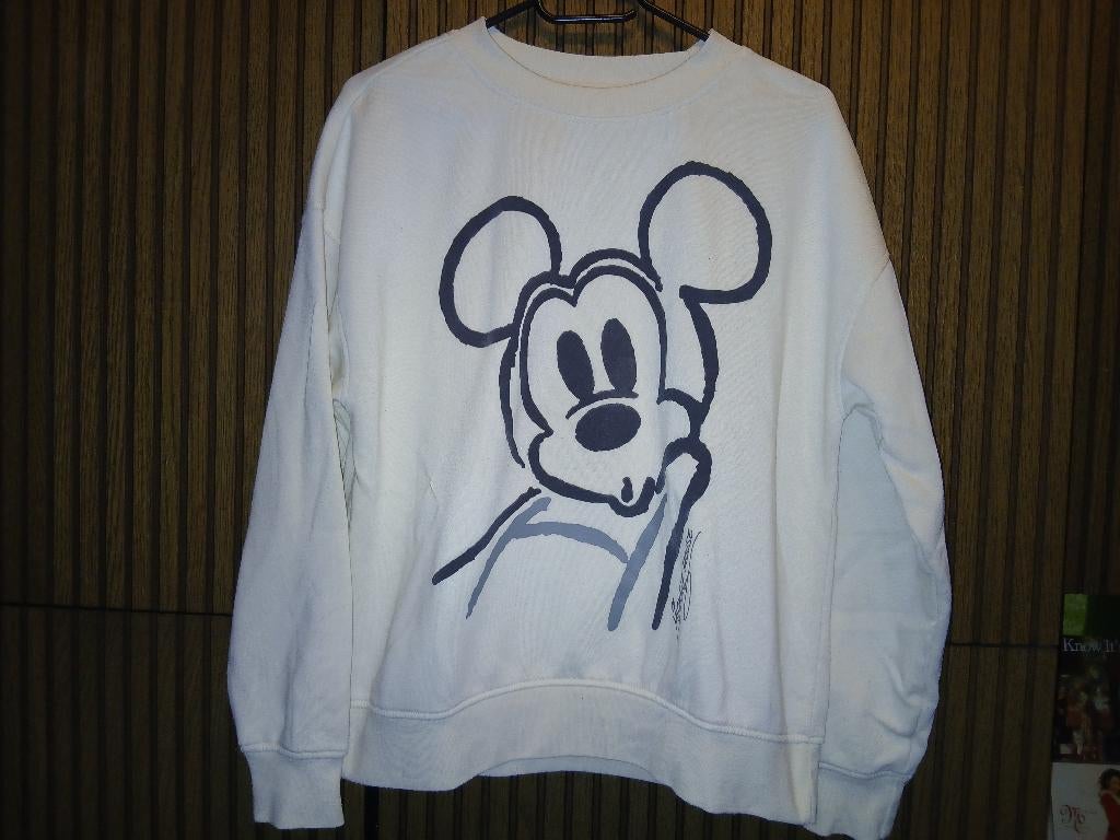 Mickey Mouse sweater maat XS, Ophalen of Verzenden, Gedragen, Maat 34 (XS) of kleiner, Grijs