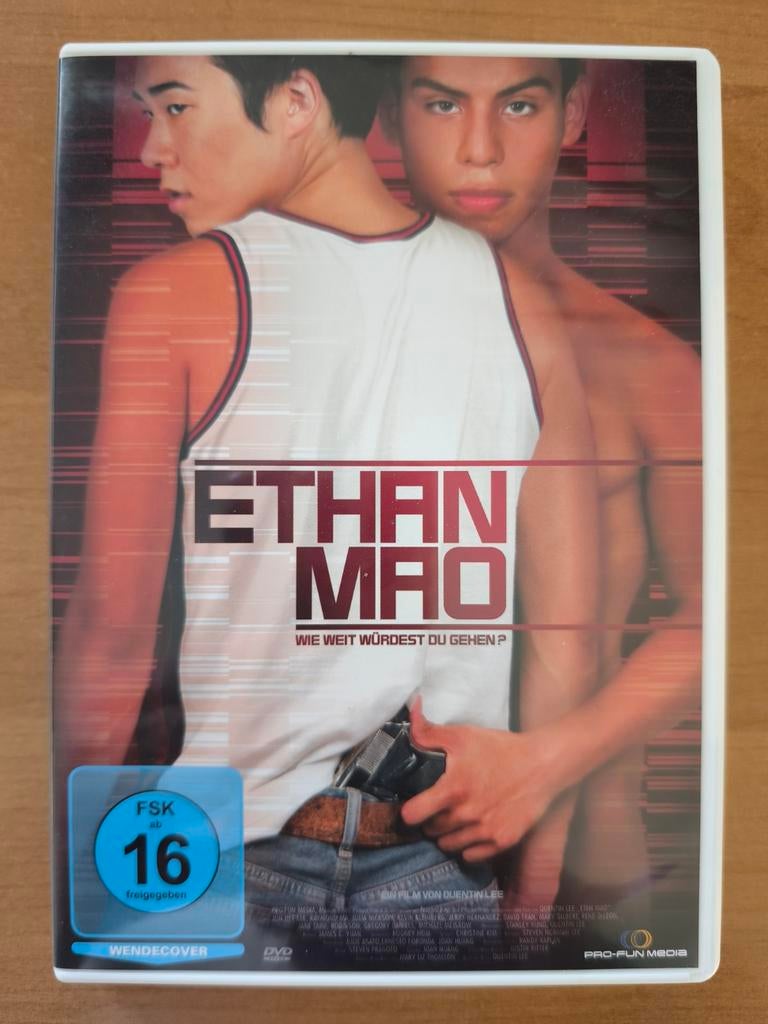 Ethan Mao Gay DVD - Drama over tiener en familieconflict, Vanaf 16 jaar, Ophalen of Verzenden, Gebruikt, Drama