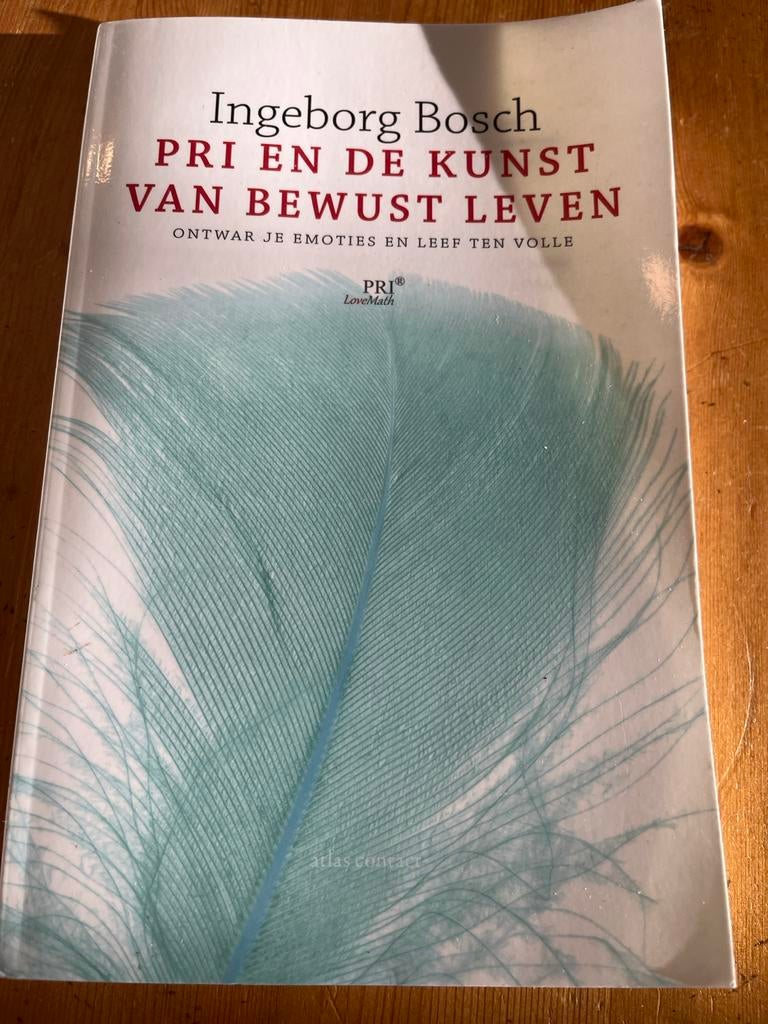 PRI en de kunst van bewust leven - Ingeborg Bosch, Ophalen of Verzenden, Gelezen, Klinische psychologie